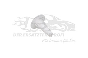 46436251 Halteclip, Scheibeneinbau Fiat