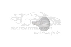 46436251 Halteclip, Scheibeneinbau Fiat