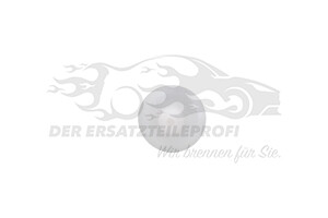 46436251 Halteclip, Scheibeneinbau Fiat