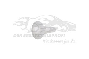 Halteclip für Scheibeneinbau Fiat 46436251