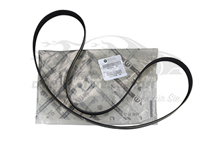Keilrippenriemen Fiat 46354610
