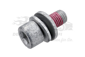 Schraube für Bremssattelhalter