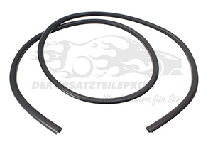 Zier- Schutzleiste für Frontscheibe Renault 7700303096