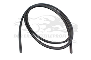 Zier- Schutzleiste für Frontscheibe Renault 8200105499