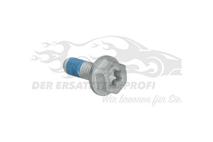 410601073R Bremsbeläge vorne Renault
