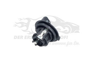 7701061695 Fassung für Glühlampe Blinker Renault