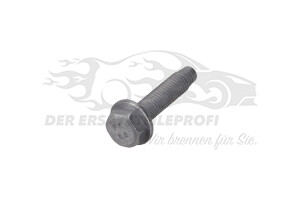 9802558580 SCHRAUBE Citroen / Peugeot / Opel