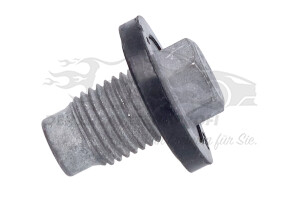 K06513414AA Verschlussschraube, Ölwanne Fiat