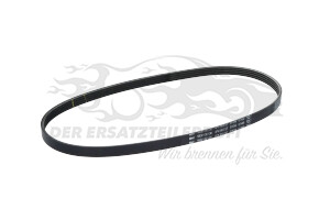 6000636667 Keilrippenriemen Fiat