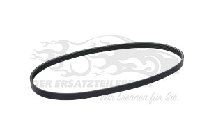 6000636667 Keilrippenriemen Fiat