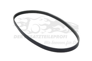 6000636667 Keilrippenriemen Fiat