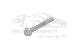 Schraube Ford 1009751