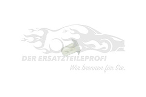 1060318 Mutter,allgemein Ford