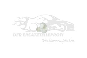 1060318 Mutter,allgemein Ford