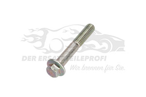 Schraube für Düsenhalter Ford 1079934
