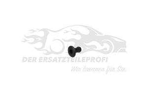 Befestigungsstopfen