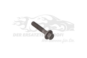 Schraube für Gleitschiene Steuerkette