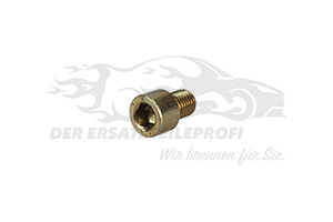 Verschlussschraube für Kurbelgehäuse Ford 1256430