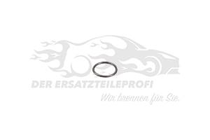 Dichtring für Düsenhalter