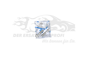 Schraube für Bremssattel Ford 1387853