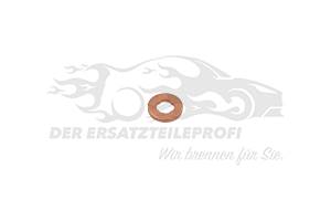 Dichtring für Einspritzventil