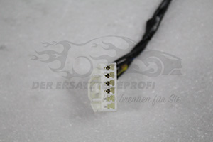 1580015 LEITUNG Ford