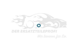 O-Ring für Rücklaufleitung
