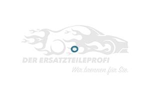 O-Ring für Rücklaufleitung