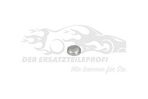 Froststopfen
