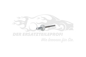 1692913 Niete Ford