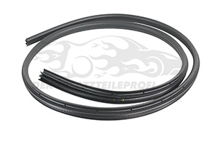 1750005 Türdichtung Ford