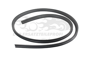 1750005 Türdichtung Ford