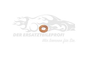 Dichtring für Einspritzdüse