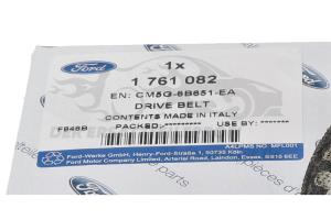 1761082 Keilrippenriemen Ford