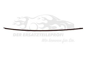 Zier- Schutzleiste für Frontscheibe