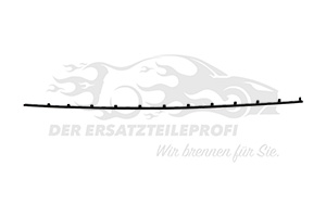 1755126 Windschutzscheiben Leiste (einzeln) Ford
