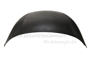 Motorhaube Ford 1774791