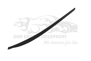 1796561 Windschutzscheiben Leiste (einzeln) Ford