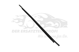 1808129 Dichtung, Seitenscheibe Ford