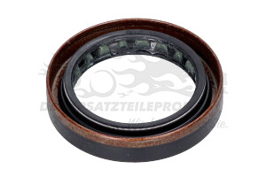 Wellendichtring für Achsdifferential