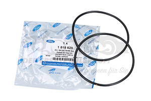 Hinterachsdichtung Ford 1818629