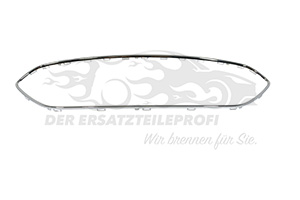 1835982 Rahmen, Kühlergitter Ford