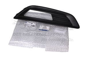 Rahmen für Nebelscheinwerfer Ford 1864636