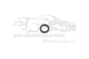 Dichtring für Einspritzdüse