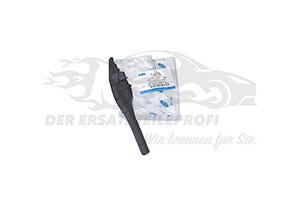 Zier- Schutzleiste für Tür Ford 1879784