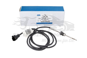 Abgastemperatursensor