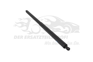 1941037 Gasfeder, Koffer-/Laderaum Ford