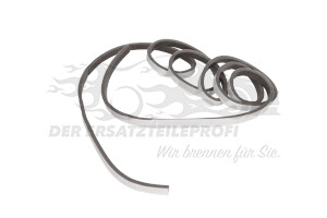 1929126 Dichtung, Frontscheibe Ford