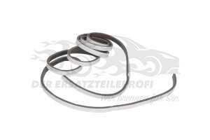 1929126 Dichtung, Frontscheibe Ford