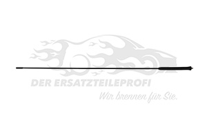 1948125 Antennenteleskop Ford